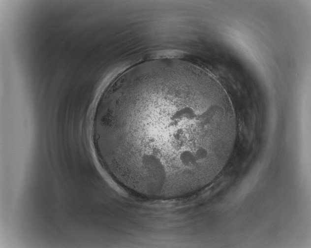 X0000114080049200910051407