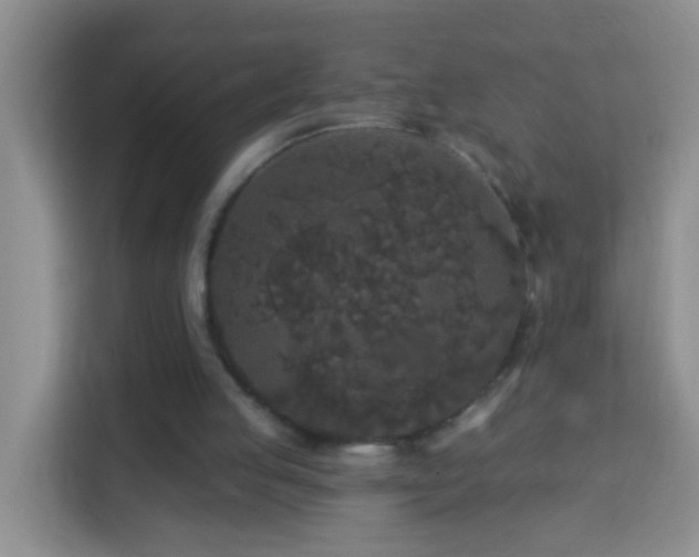 X0000114080053200910051407