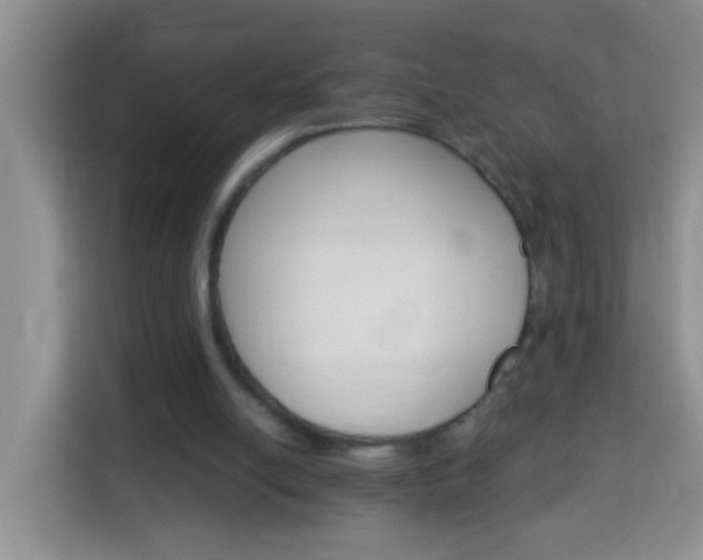 X0000114080054200910051407