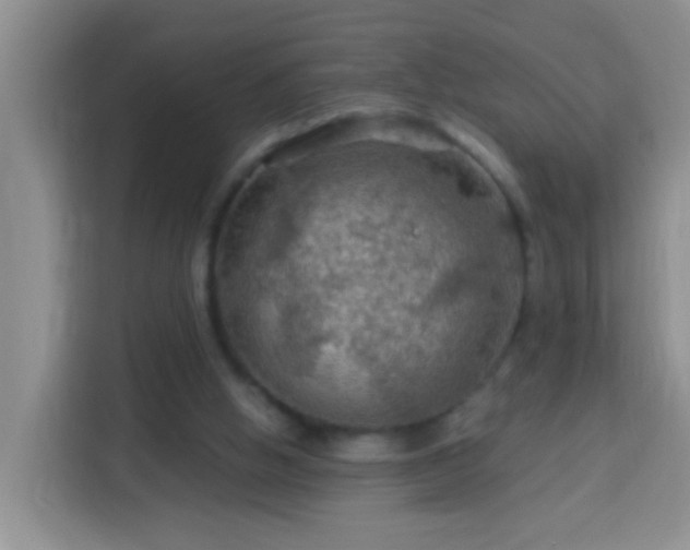 X0000114080058200910051407