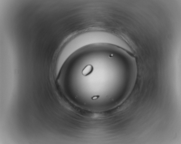 X0000114080060200910051407