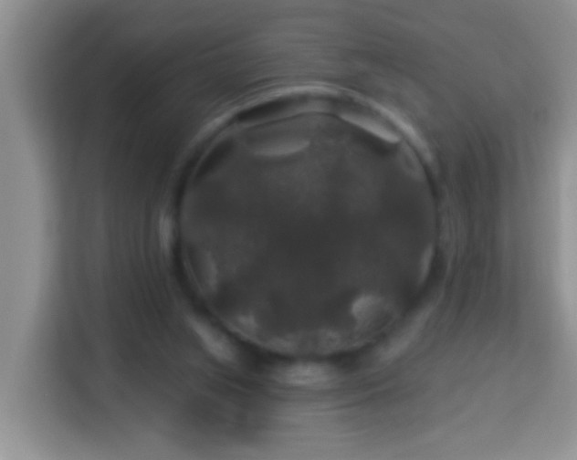 X0000114080063200910051407