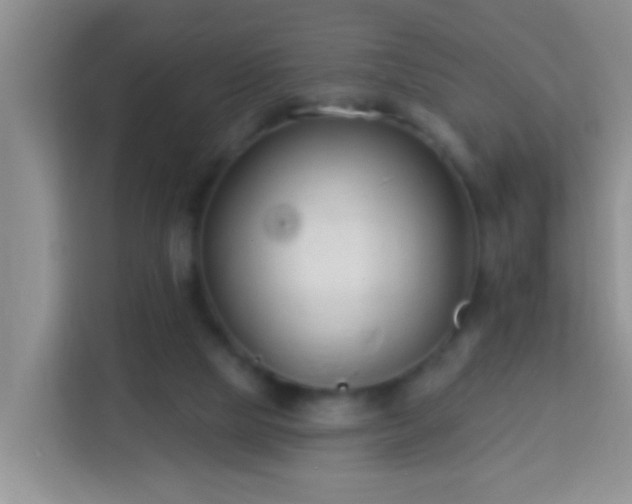 X0000114080065200910051407