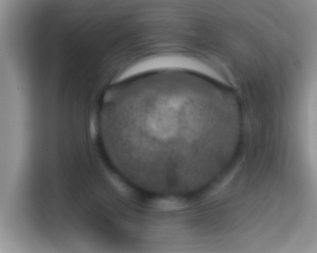 X0000114080069200910051407