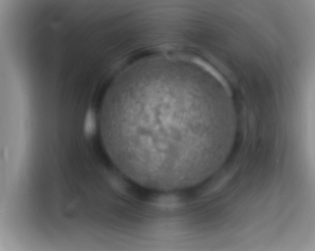 X0000114080075200910051407