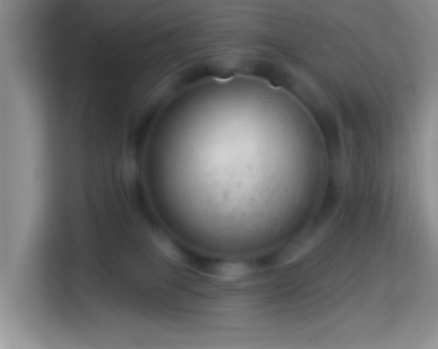 X0000114080085200910051408