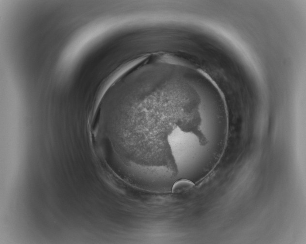 X0000114080099200910051407