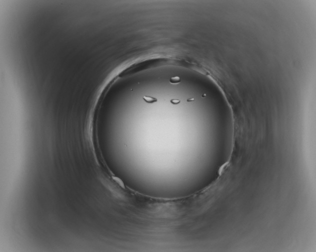 X0000114080100200910051407