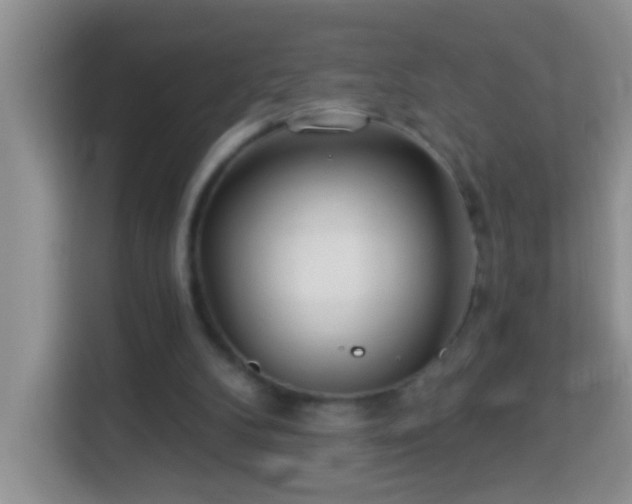 X0000114080104200910051407