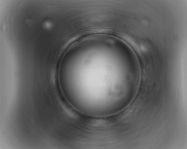 X0000114080107200910051407