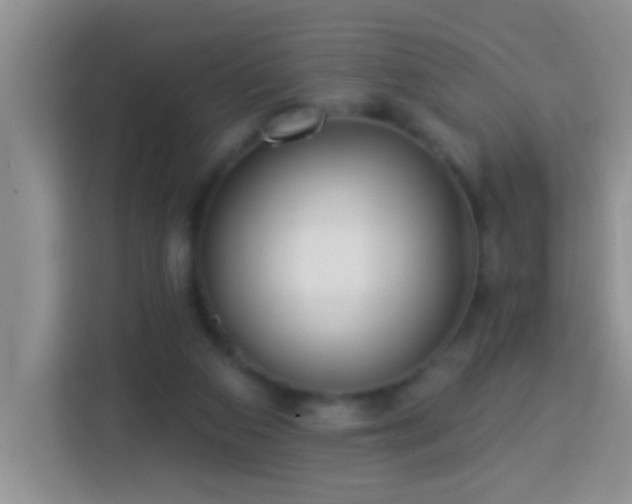 X0000114080113200910051407