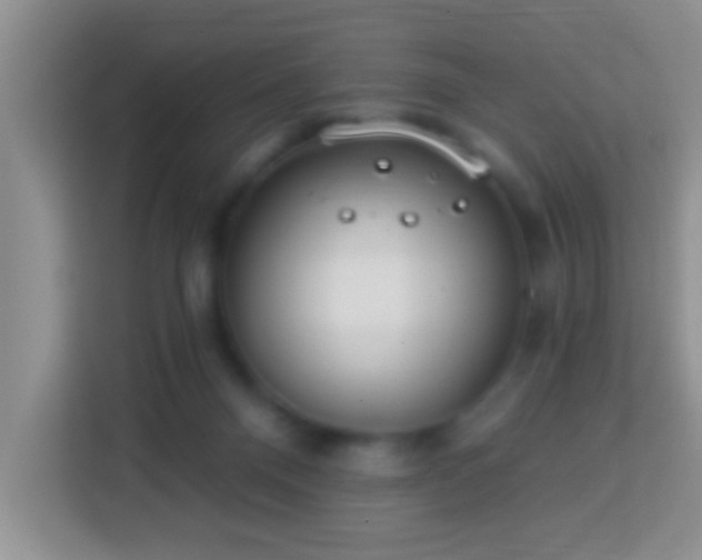 X0000114080120200910051407