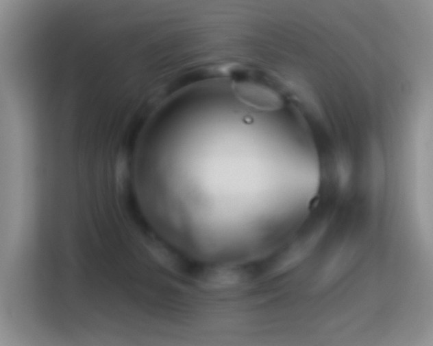 X0000114080127200910051407