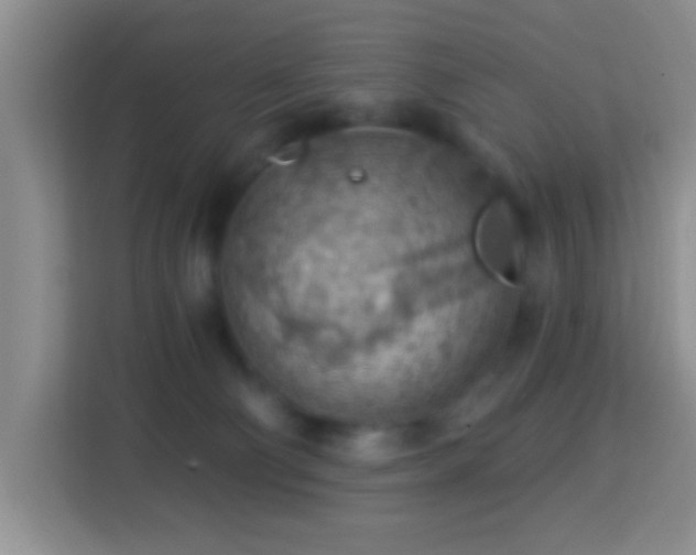 X0000114080130200910051407