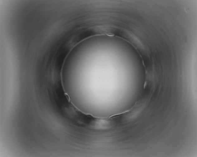 X0000114080141200910051406