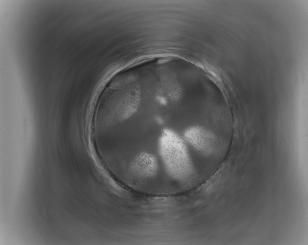 X0000114080145200910051406