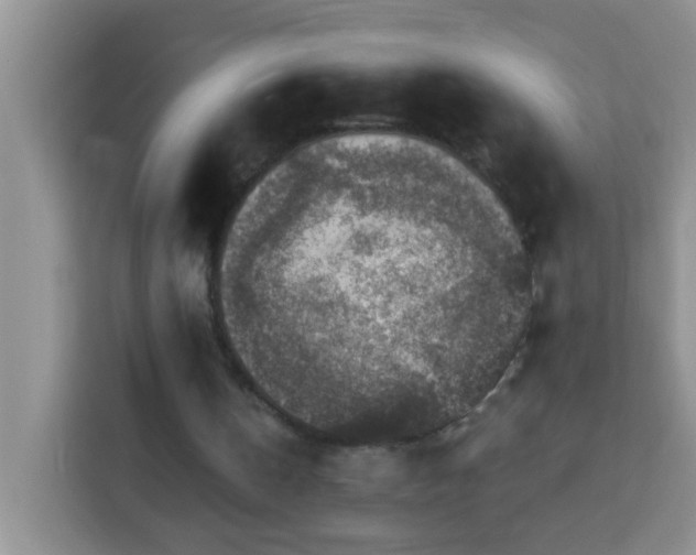 X0000114080146200910051406