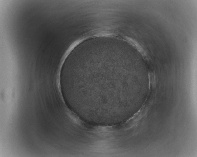 X0000114080147200910051406