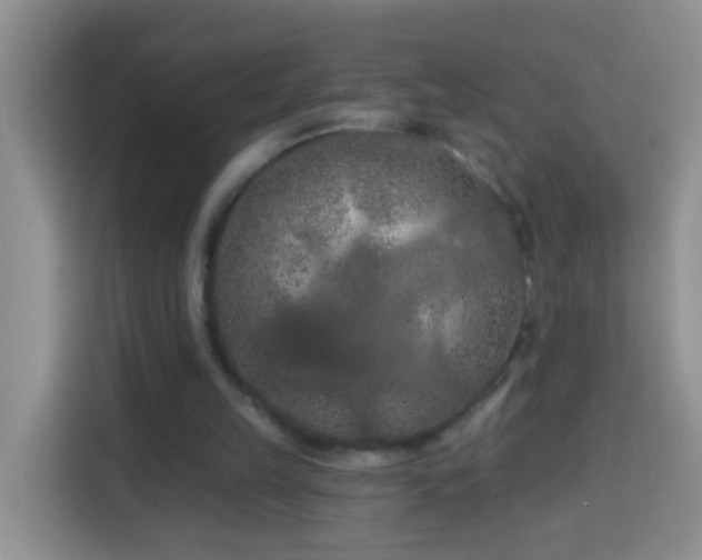 X0000114080149200910051406