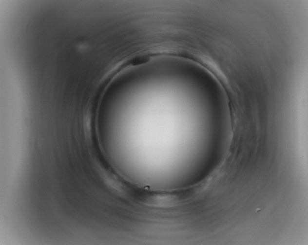 X0000114080154200910051406