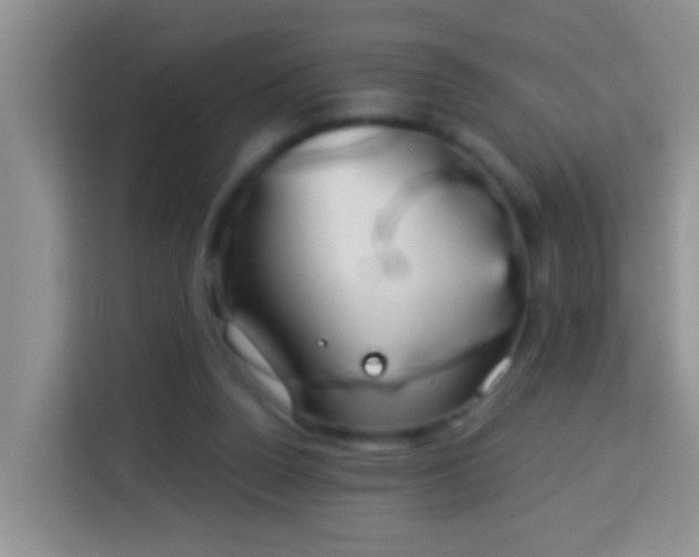 X0000114080160200910051406