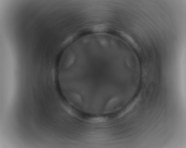 X0000114080161200910051406