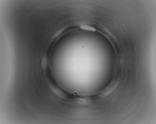 X0000114080164200910051406