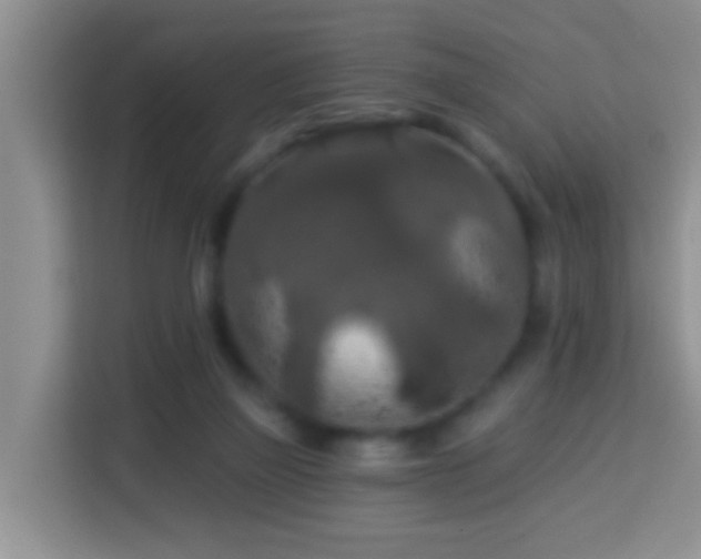 X0000114080165200910051406