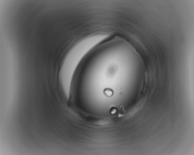 X0000114080172200910051406