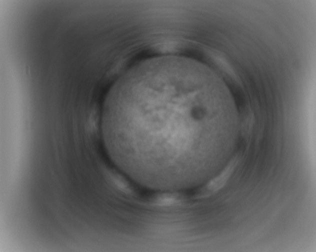 X0000114080175200910051406