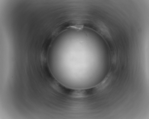 X0000114080179200910051406