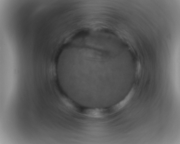 X0000114080182200910051406