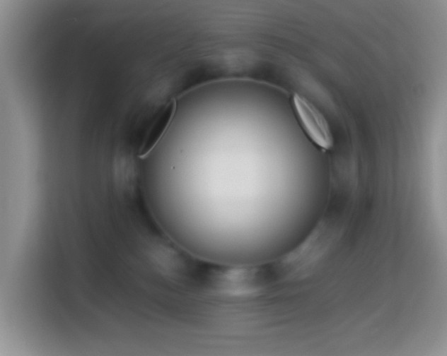 X0000114080184200910051406