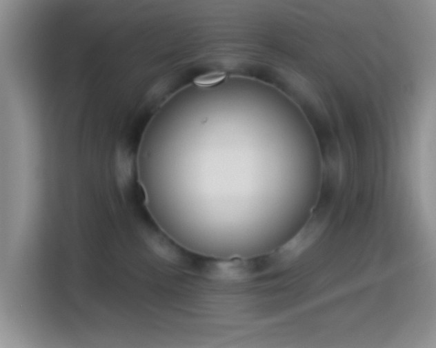 X0000114080188200910051406