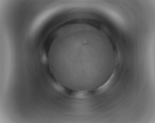 X0000114080191200910051406