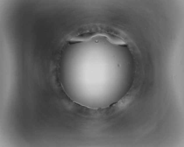 X0000114080192200910051406