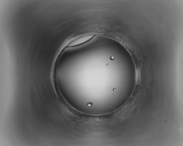 X0000114080195200910051406