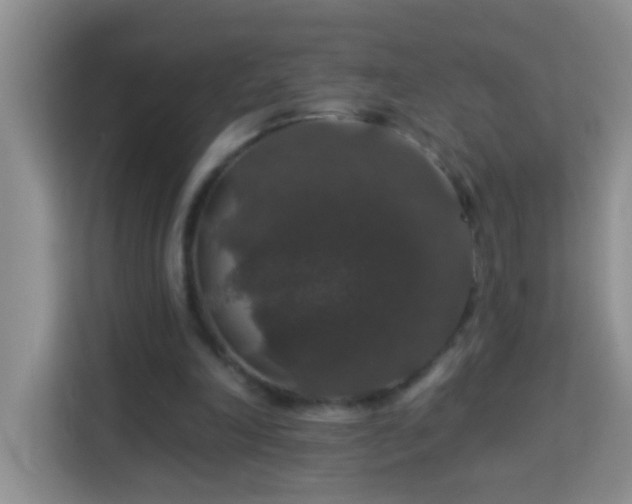 X0000114080198200910051406