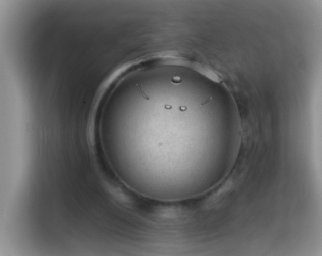 X0000114080200200910051406