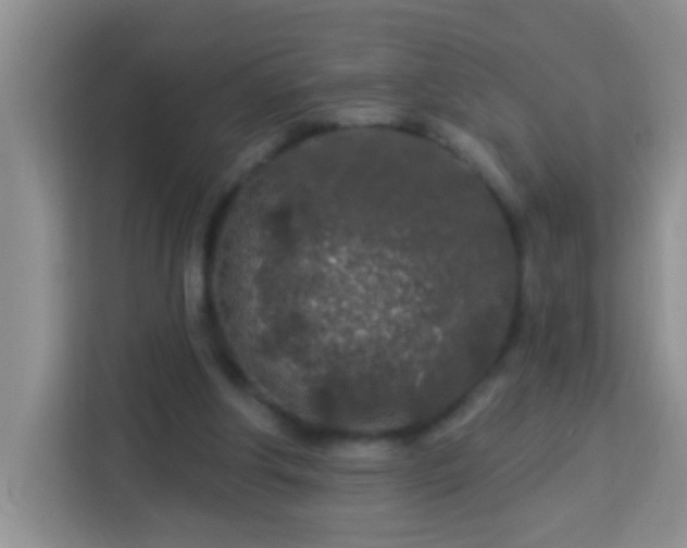 X0000114080202200910051406