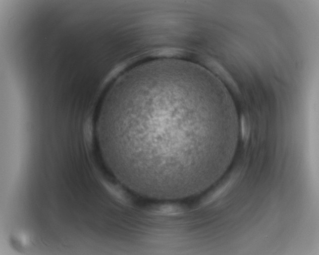 X0000114080204200910051406