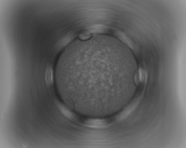 X0000114080205200910051406