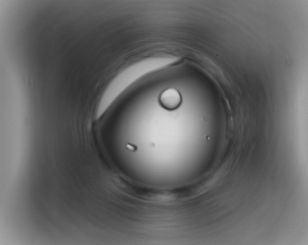 X0000114080217200910051405