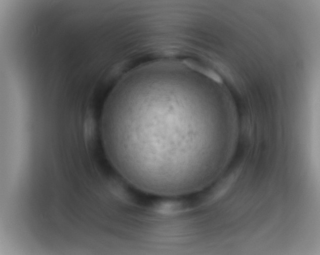 X0000114080220200910051405