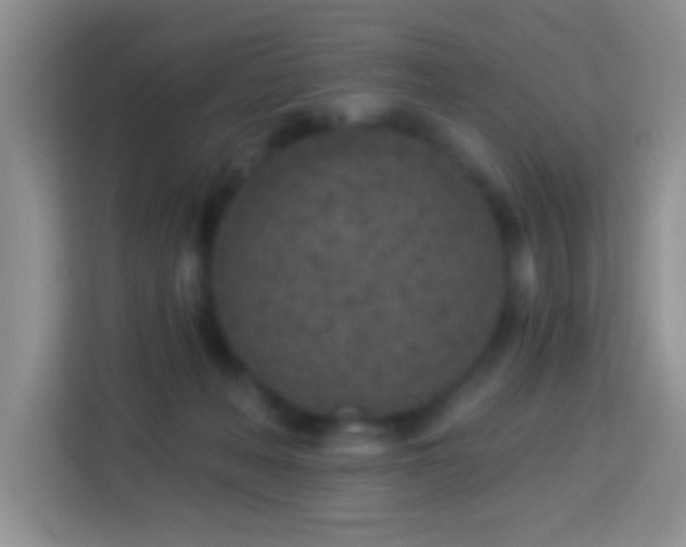 X0000114080222200910051405