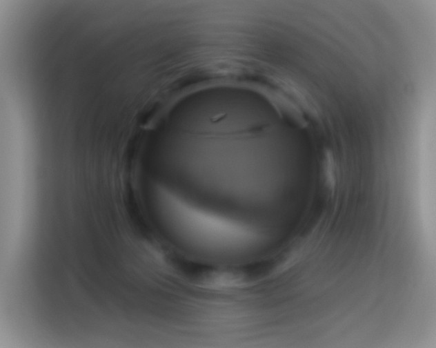 X0000114080223200910051405