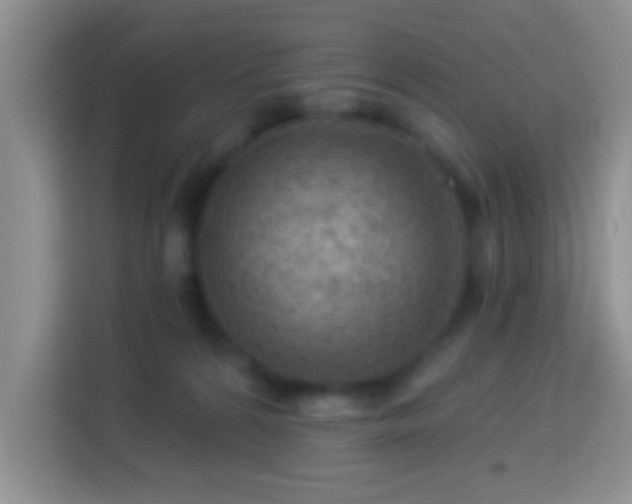 X0000114080224200910051405