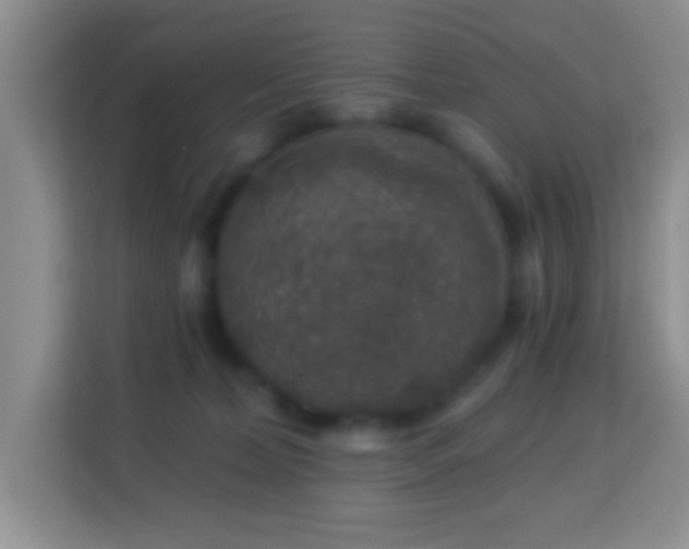 X0000114080228200910051405