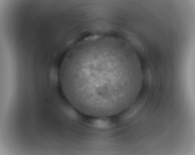 X0000114080232200910051405