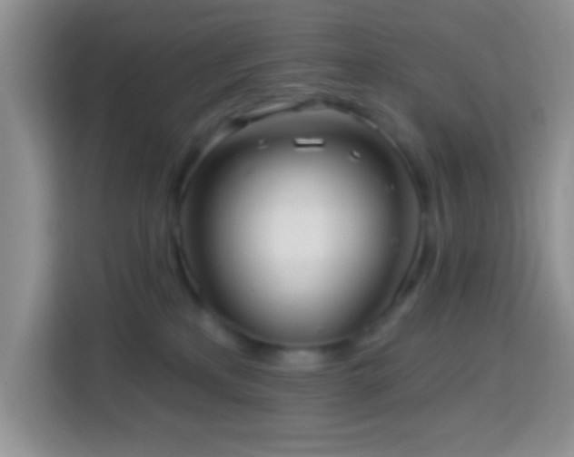 X0000114080233200910051405